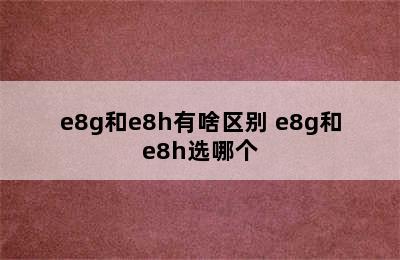 e8g和e8h有啥区别 e8g和e8h选哪个